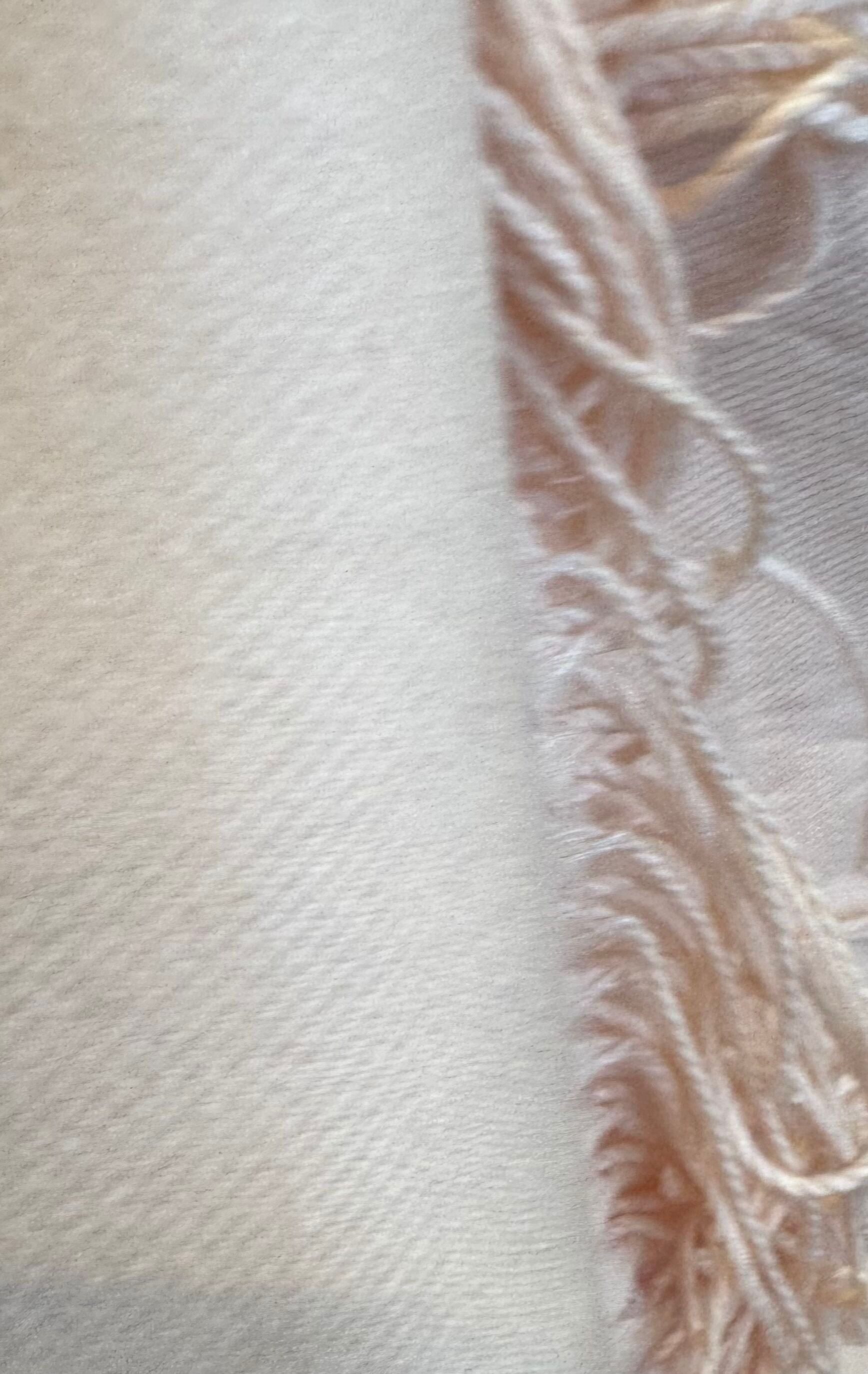 Chao Cashmere Viscose Long Scarf