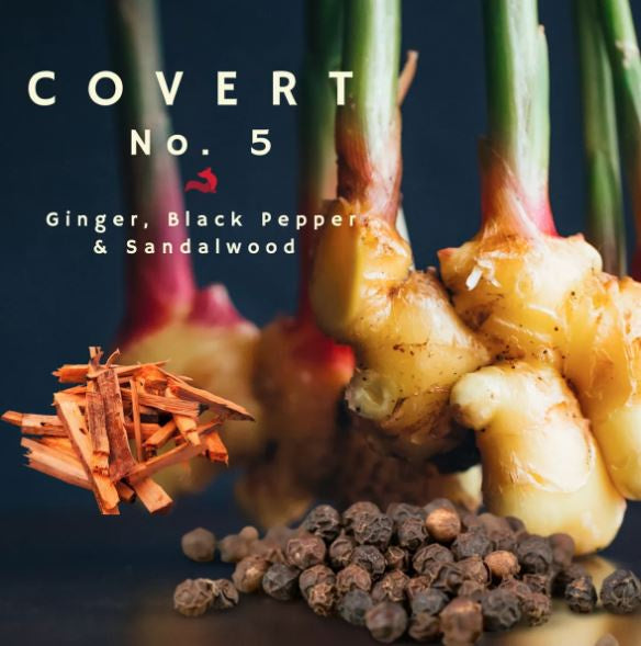 The Red Hot Fox Wax 15 Melts - COVERT No 5