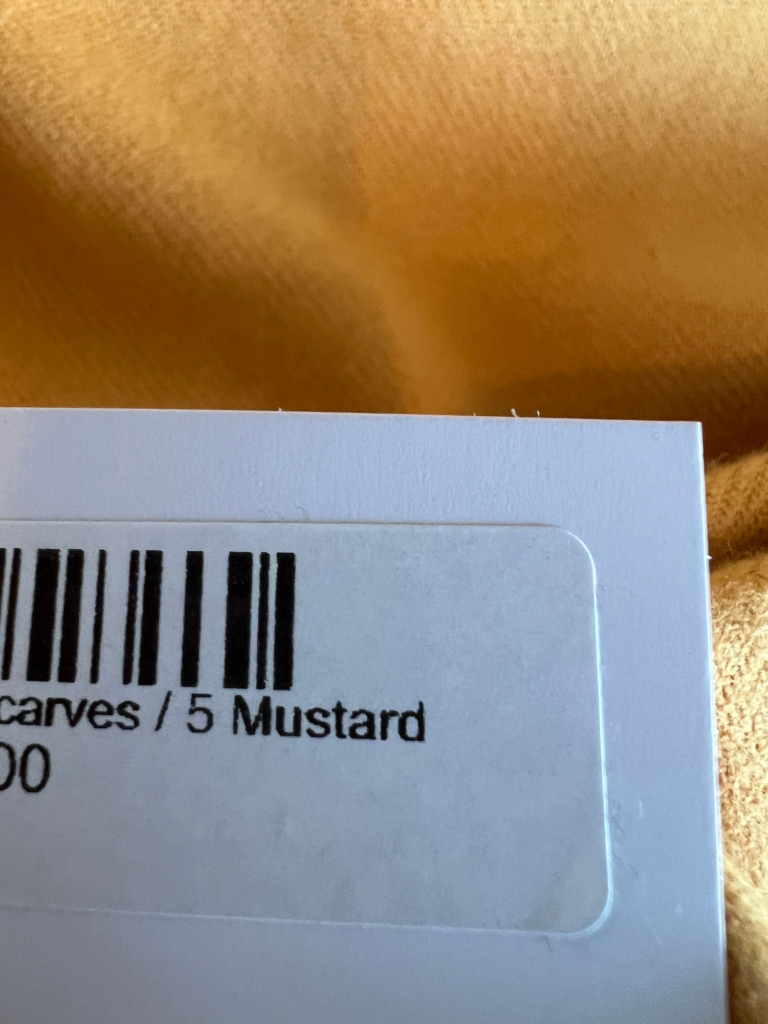 Chao Cashmere Viscose Long Scarf