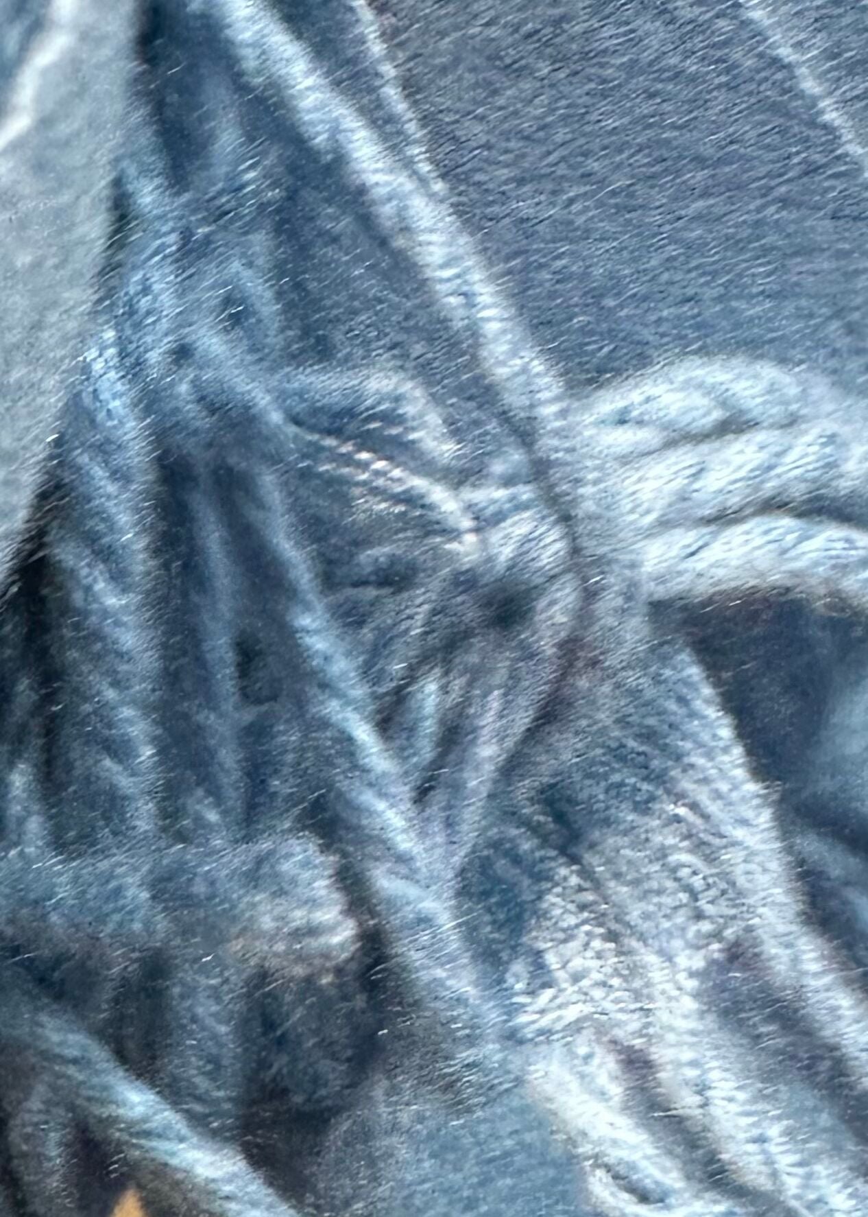 Chao Cashmere Viscose Long Scarf