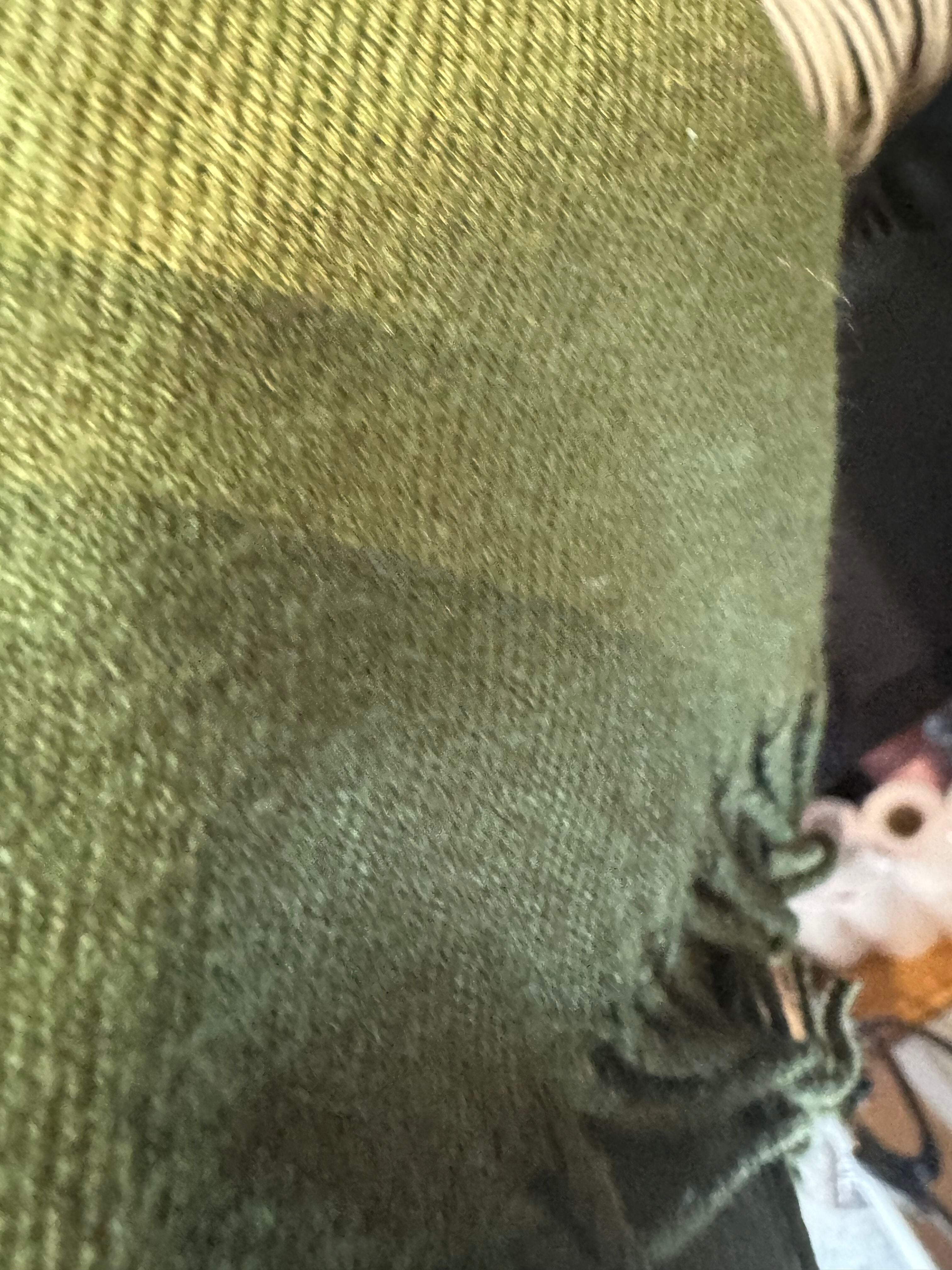 Chao Cashmere Viscose Long Scarf