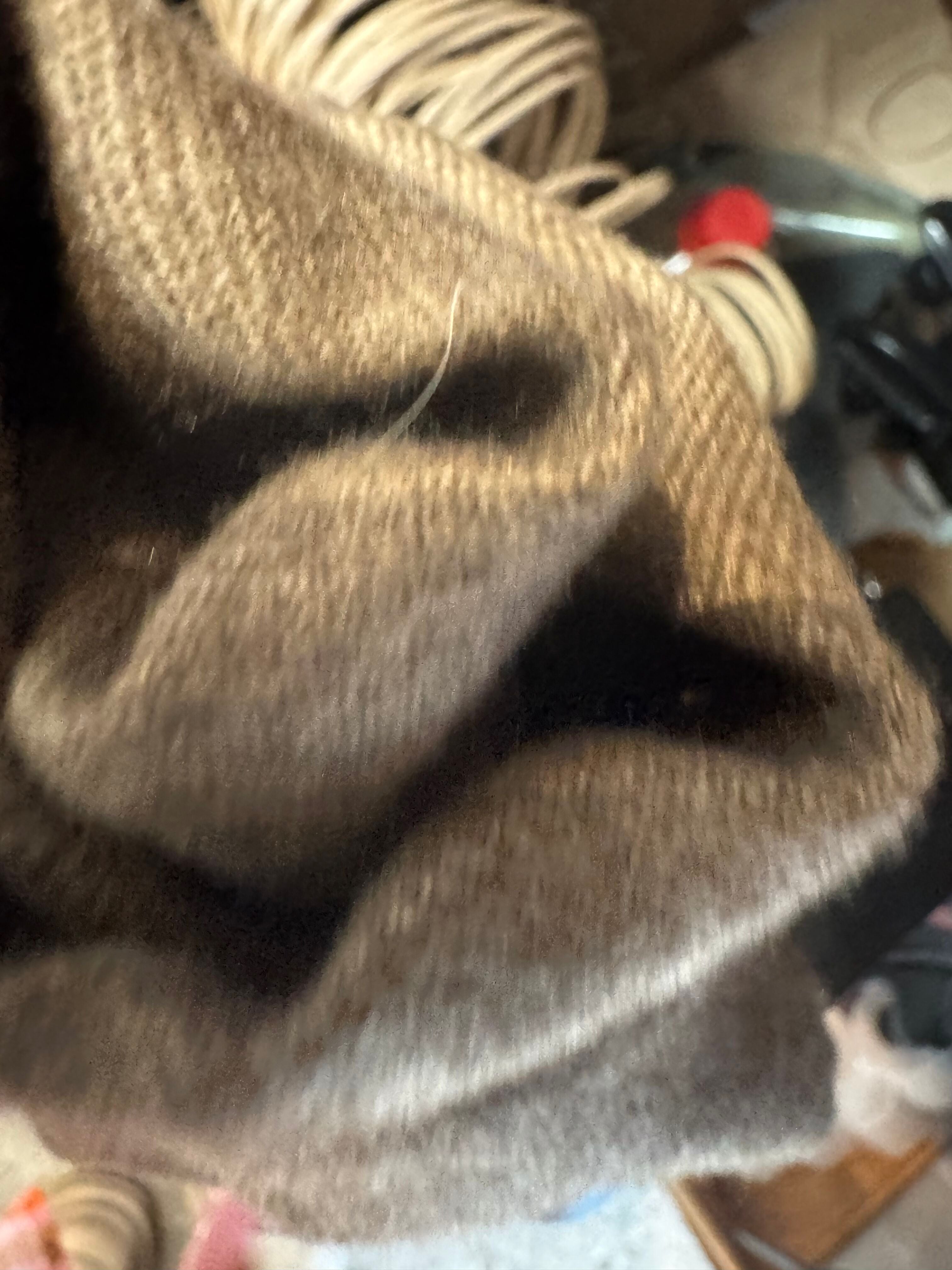 Chao Cashmere Viscose Long Scarf