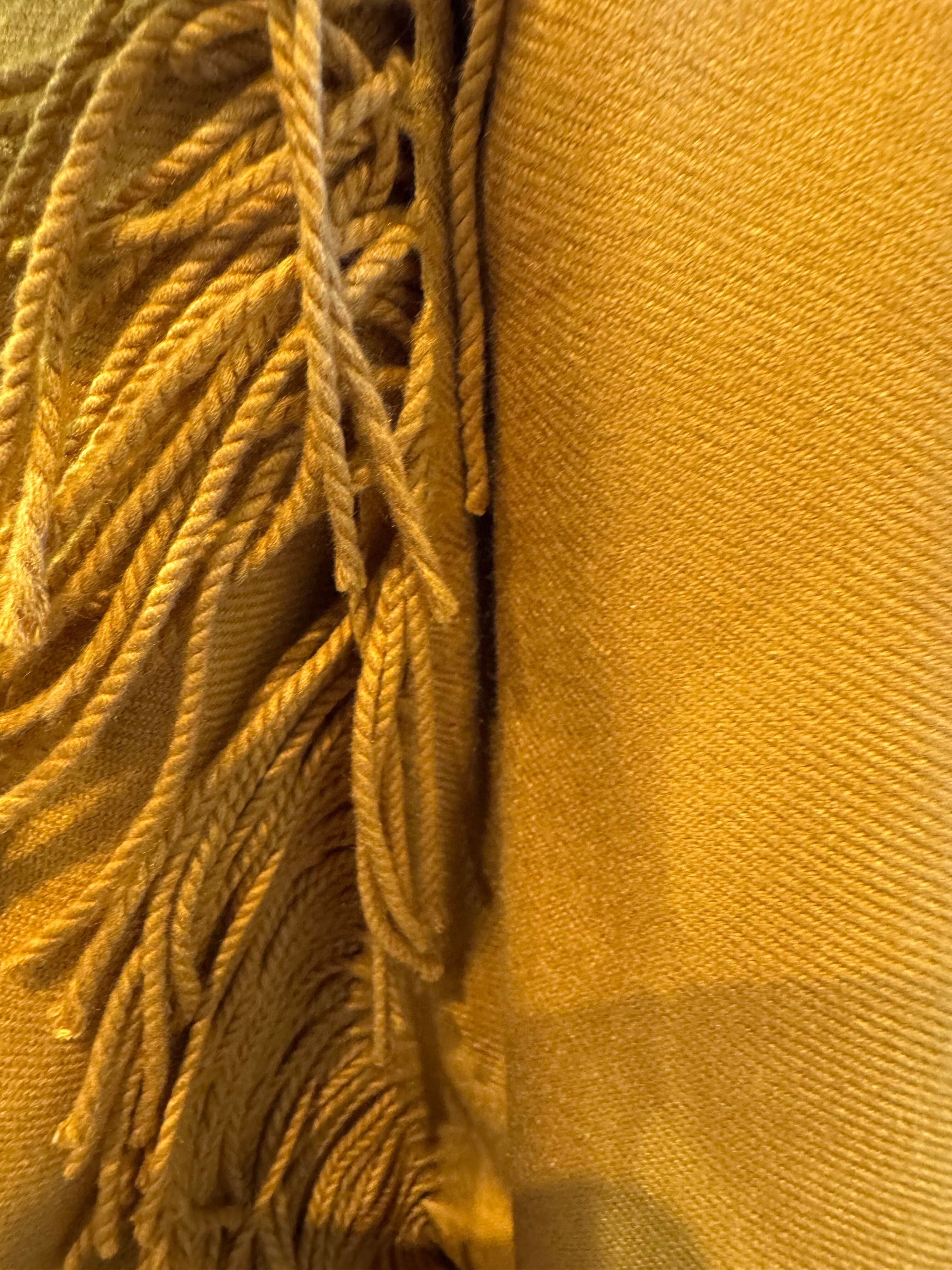 Chao Cashmere Viscose Long Scarf