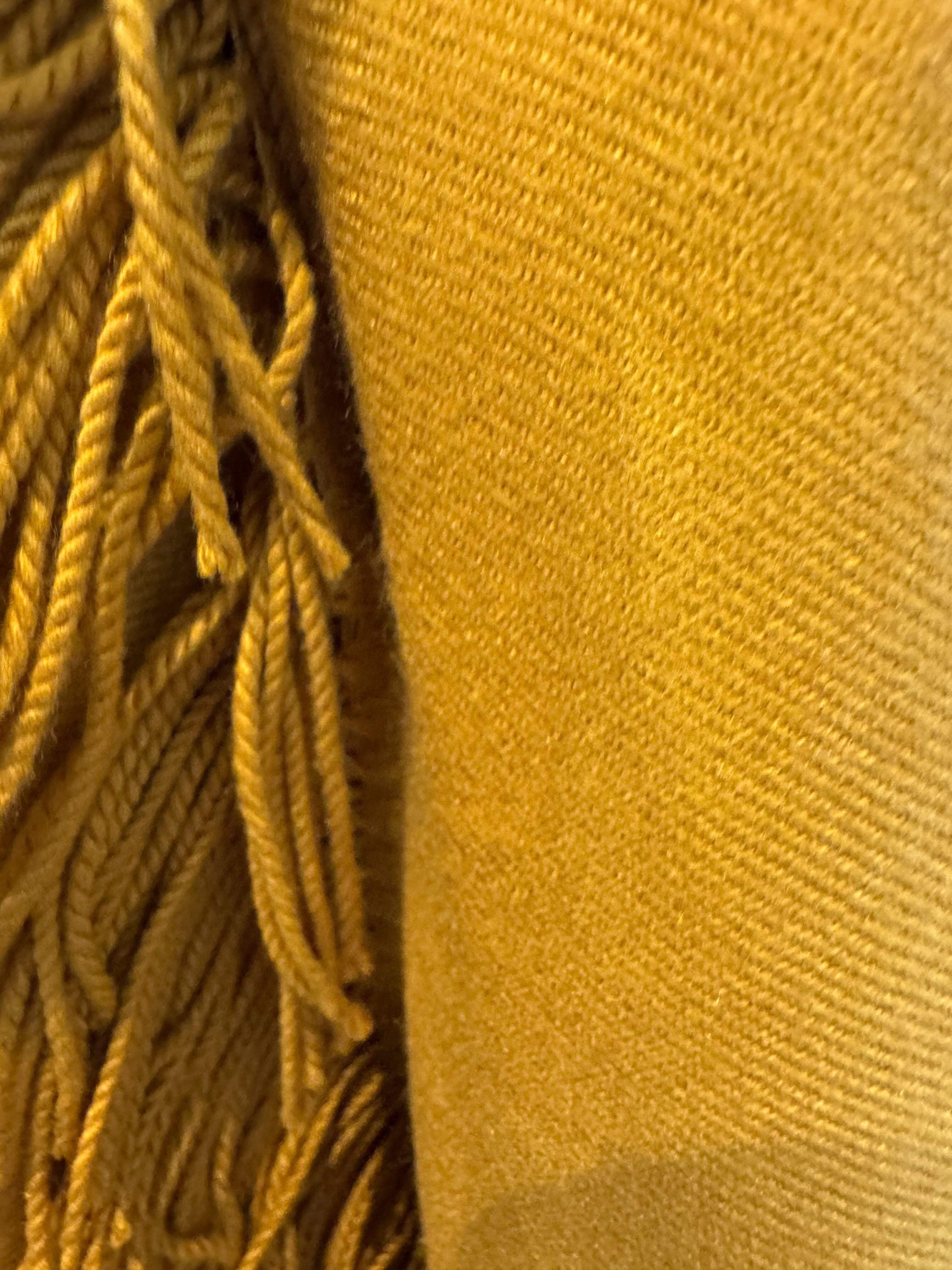 Chao Cashmere Viscose Long Scarf