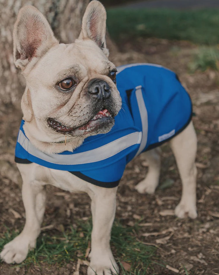 Mr Soft Top Waterproof Raincoat - Blue
