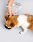 Thirsty Dog Bottle
