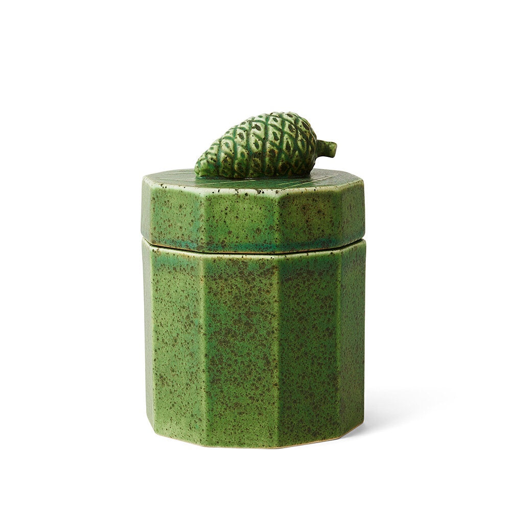 Sthal Ceramic Jar - Pine Cone Moss 16cm