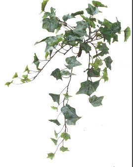 Alison&#39;s Acquisitions Trailing Maple Ivy Green