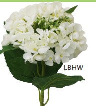 Alison&#39;s Acquisitions Budding Hydrangea Large White
