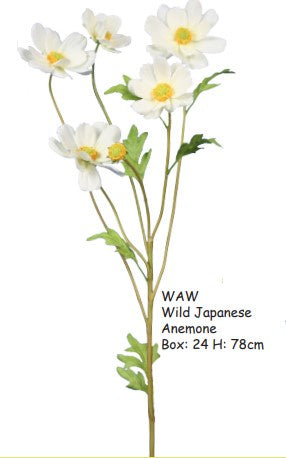 Alison&#39;s Acquisitions Wild Japanese Anemone WAW