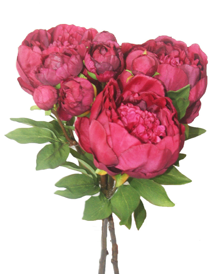 Alison&#39;s Acquisitions Cottage Peony Bunch Coral