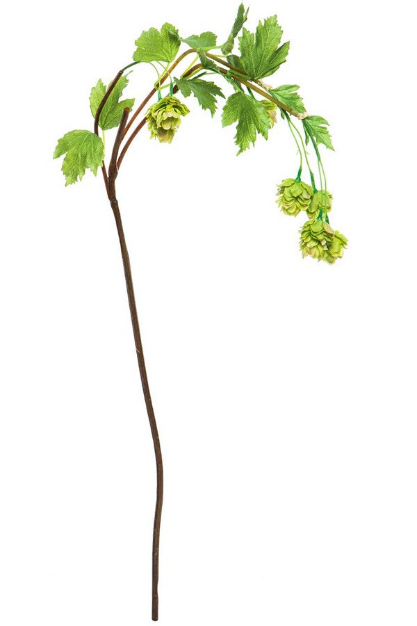 Alison&#39;s Acquisitions Tall Hop Flower